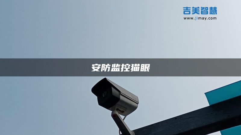 安防监控：揭秘十大品牌及型号背后的技术奥秘**